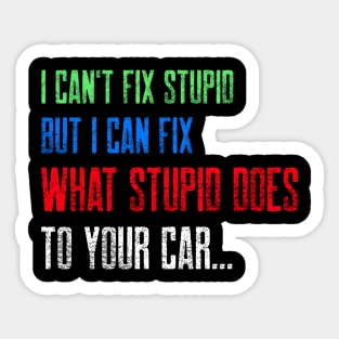 I can't fix stupid. But I can fix what stupid does to your car. Sticker